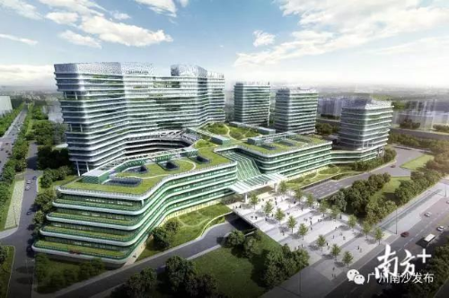 广州南沙区与广东省中医院共建临床科研平台助力大湾区中医药高地建设