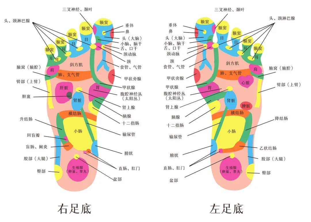 微信图片_20211206134622.jpg