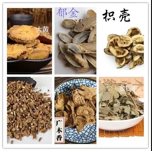 微信图片_20211206145753.jpg