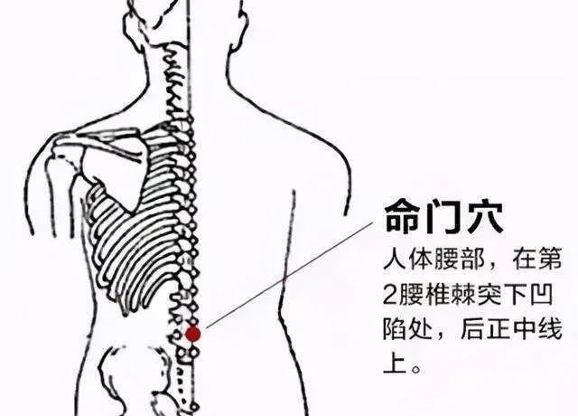微信图片_20211206150115.jpg