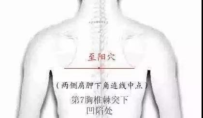微信图片_20211206150118.jpg