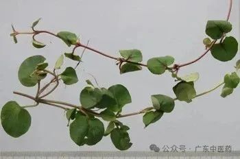 转存图片