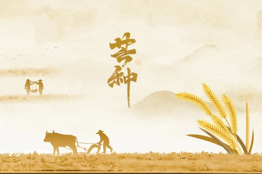 转存图片