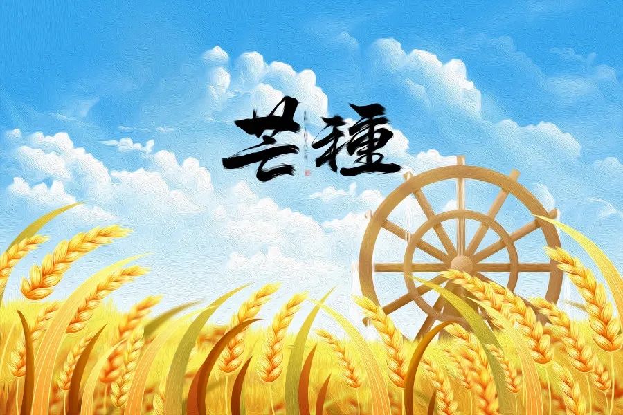 转存图片